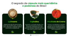 Lift Detox Black causa efeitos colaterais? 
